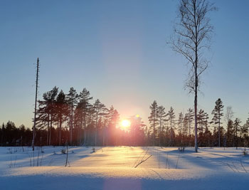 snöskoter 2024
